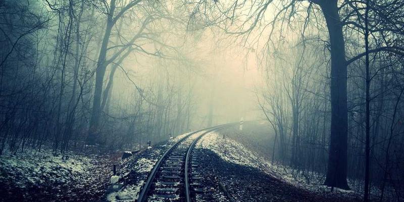 从代码到画布:Scott Fijolek 如何用艺术思维重塑技术领导力