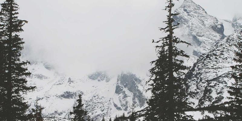 从画布到电网:Scott Fijolek的‘创意静修’如何催化智能通信革命