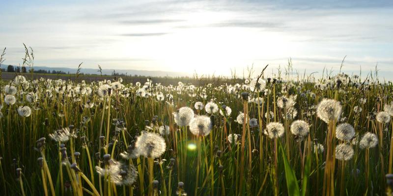 从画笔到代码:Scott Fijolek的每日速写如何重塑工程师的思维系统
